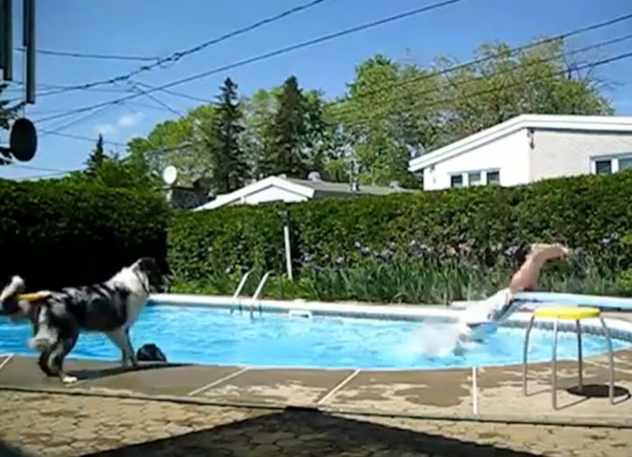 kompilacija Tjedna FAIL kompilacija