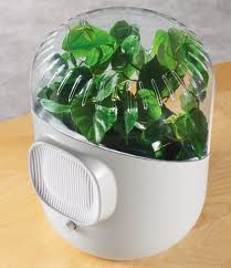 Air Purifiers Air Purifiers