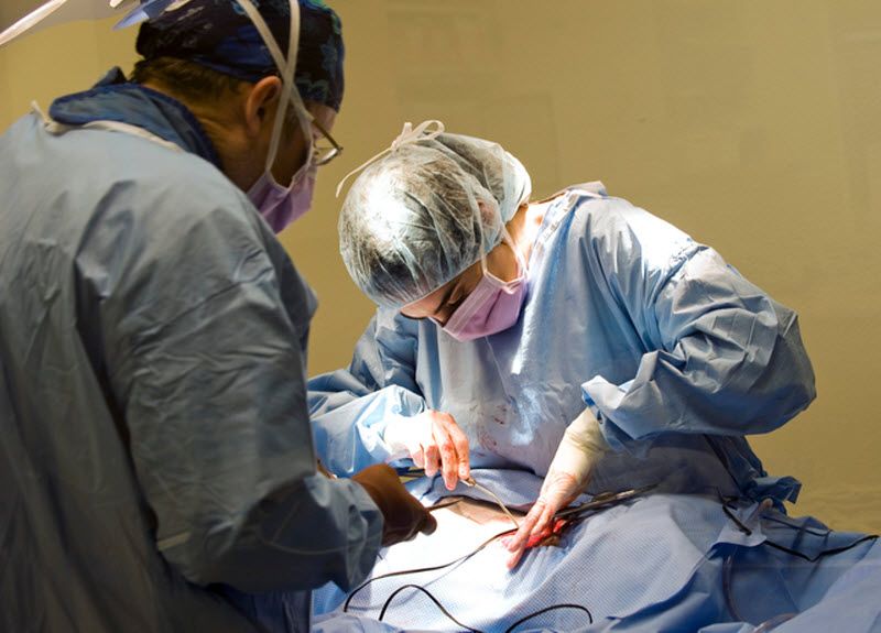 Pas Bandit Pas Bandit