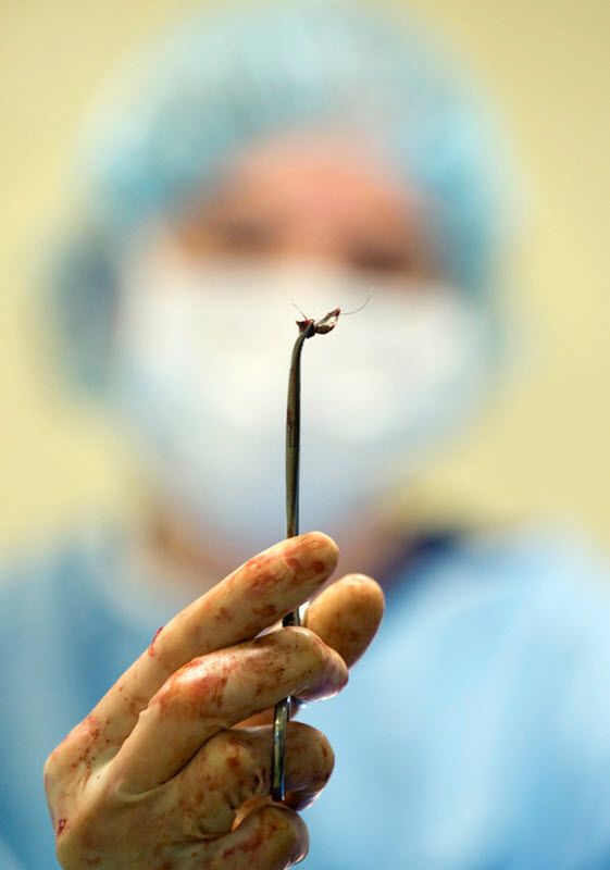 Pas Bandit Pas Bandit