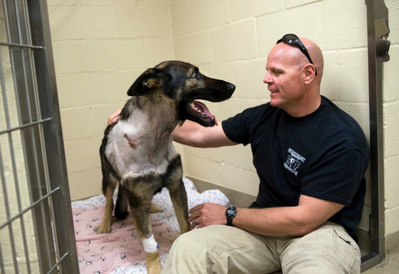 Pas Bandit Pas Bandit