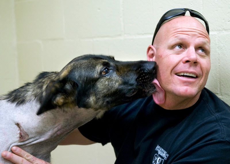 Pas Bandit Pas Bandit