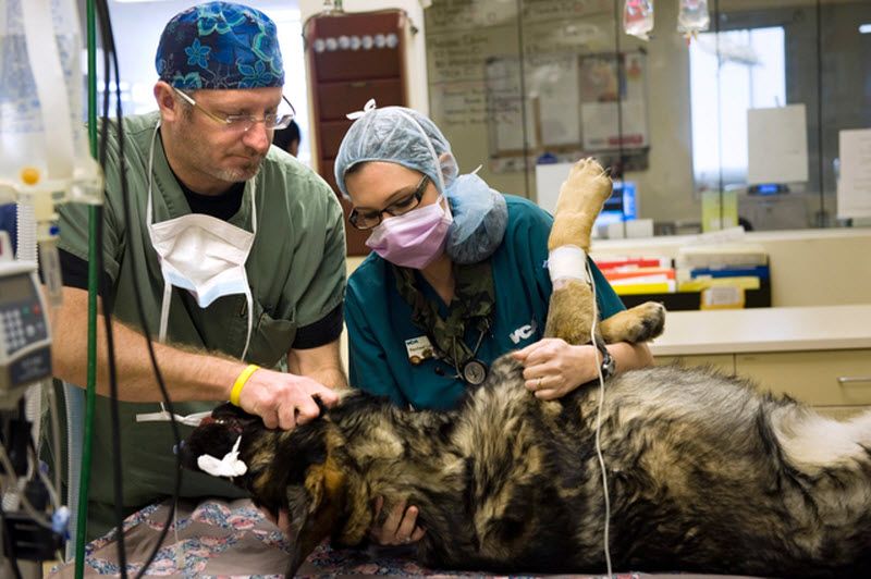 Pas Bandit Pas Bandit