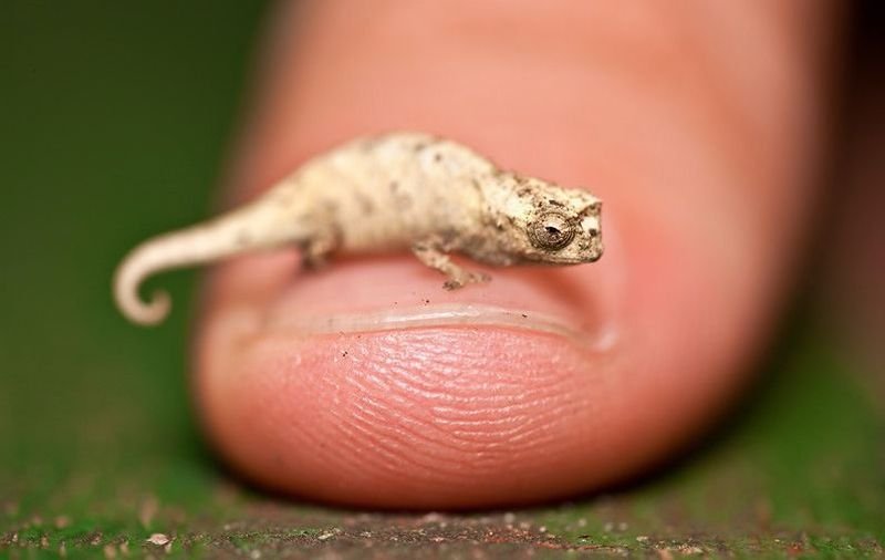 10 Super slike slikane u pravom trenutku