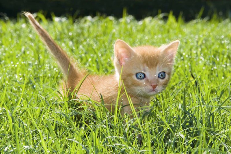 11 Super slike slikane u pravom trenutku