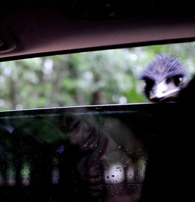 16 Super slike slikane u pravom trenutku