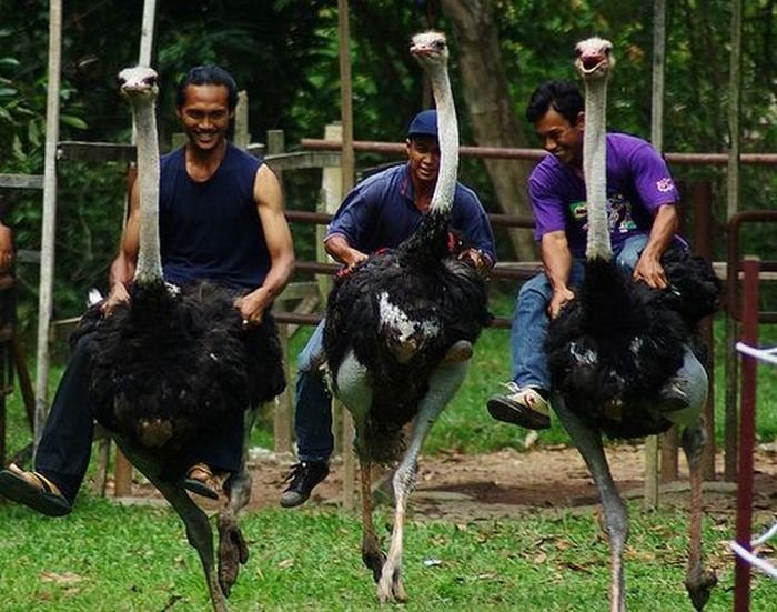 29 Super slike slikane u pravom trenutku