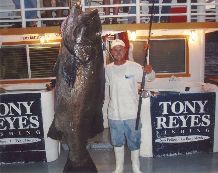 30 Super slike slikane u pravom trenutku