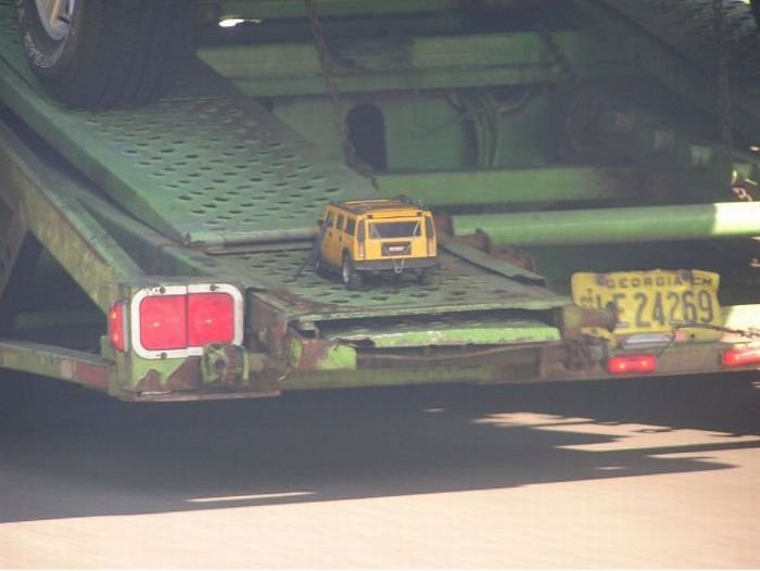 32 Super slike slikane u pravom trenutku