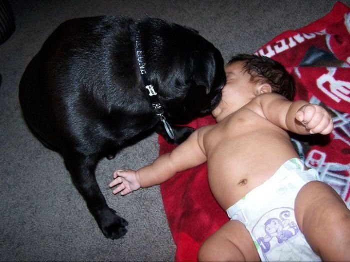 35 Super slike slikane u pravom trenutku