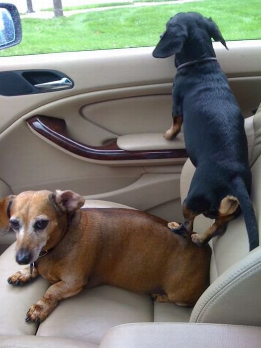 36 Super slike slikane u pravom trenutku