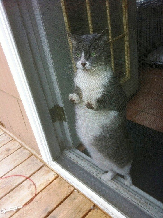 4 Super slike slikane u pravom trenutku