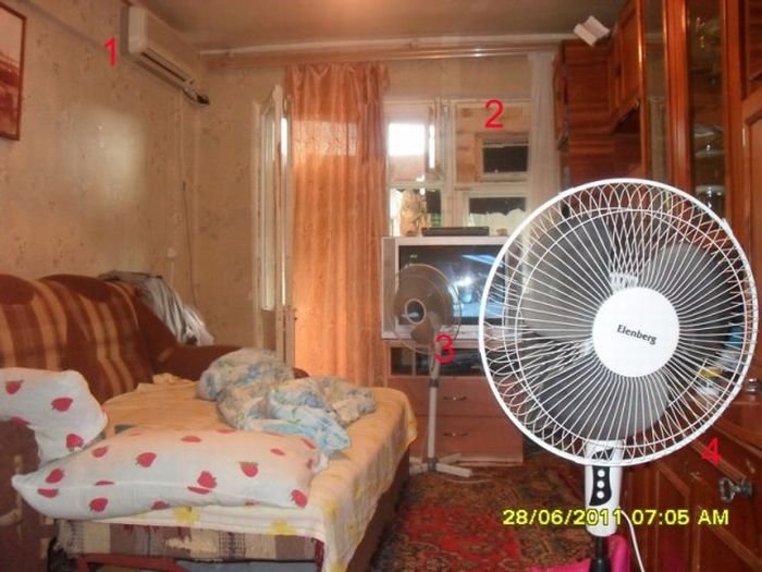 41 Super slike slikane u pravom trenutku