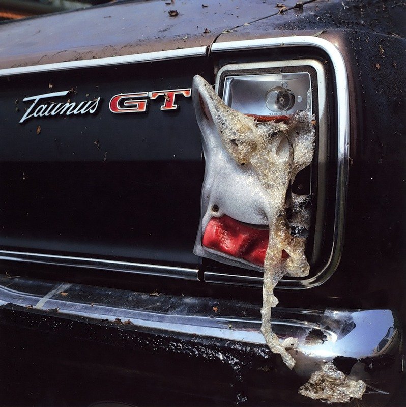 5 Super slike slikane u pravom trenutku