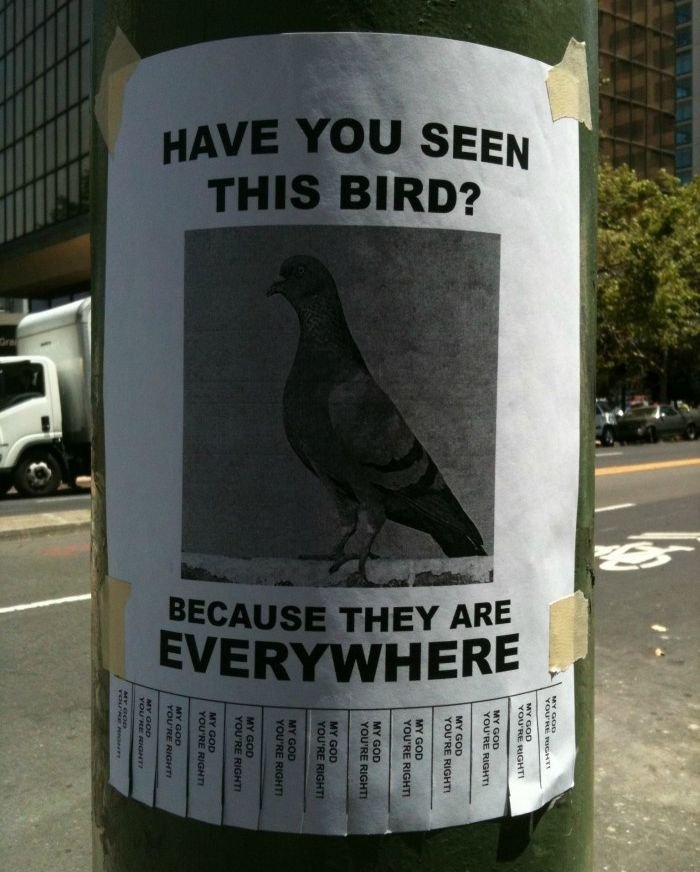 60 Super slike slikane u pravom trenutku