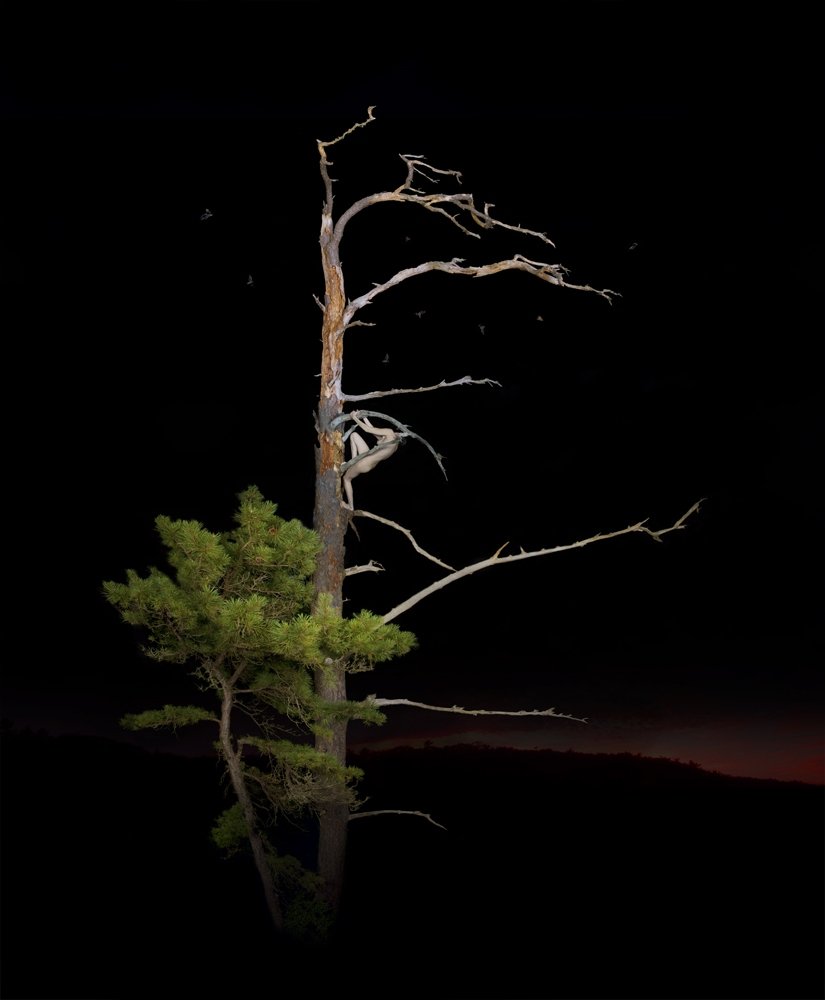 62 Super slike slikane u pravom trenutku