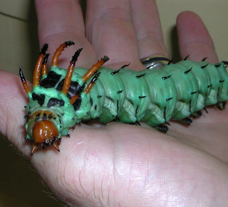 7 Super slike slikane u pravom trenutku