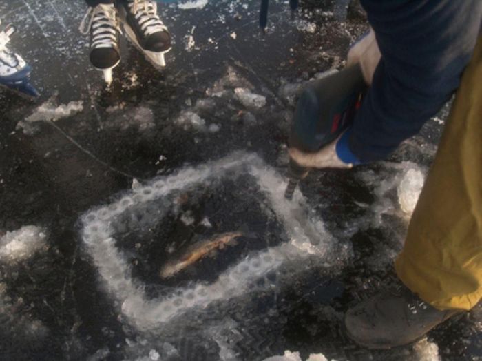 imam Pogodi kaj imam???