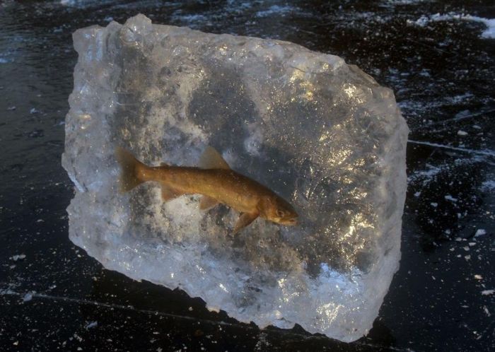 Pogodi kaj imam??? Pogodi kaj imam???