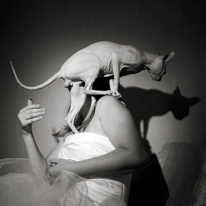 trenuci Vjenčanja i nezgodni trenuci