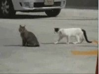 WIN kompilacija WIN kompilacija