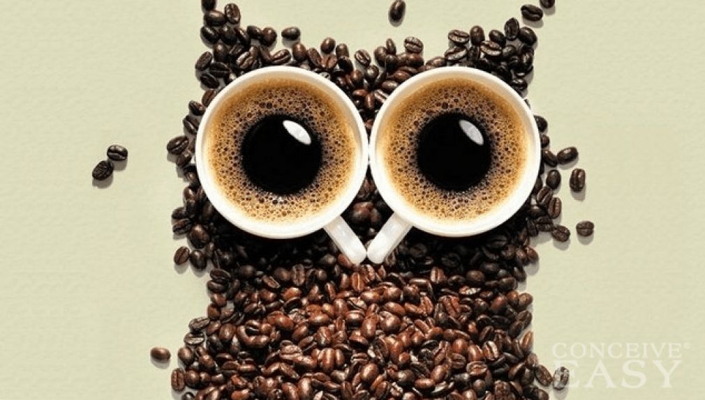 F886601d84b861950b399355947b6811 L Coffee and Health plus articles and information on Coffee